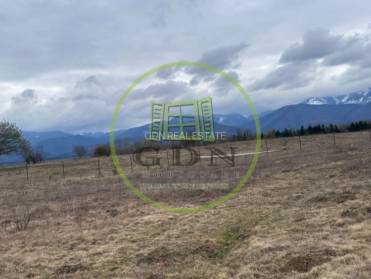 Exclusivitate! Teren intravilan, ttrifazic 44kw, urbanism, toate avizele luate! - 5