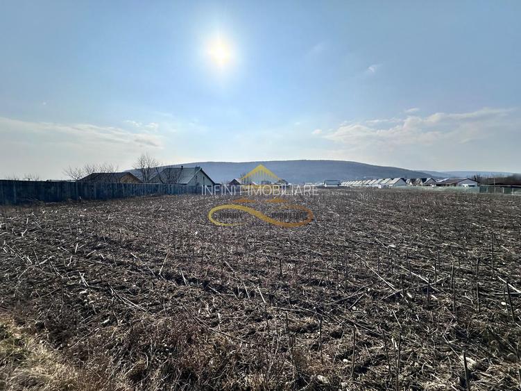 De vanzare teren intravilan Hemeius Bacau - 6