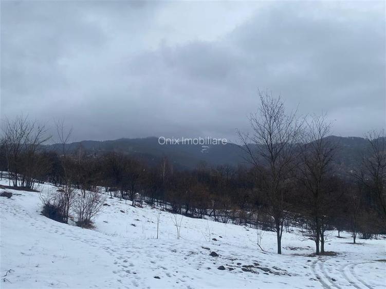 TEREN VALEA DOFTANEI - 4