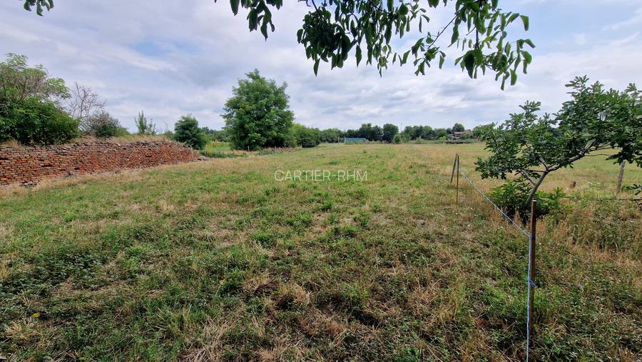 🏡 De vânzare – Casă boierească, Sat Giulvăz (jud. Timiș)- 717 - 15