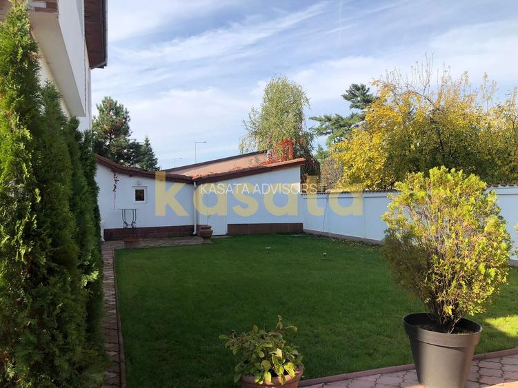 Vila deosebita 11 camere Erou Iancu Nicolae - 16