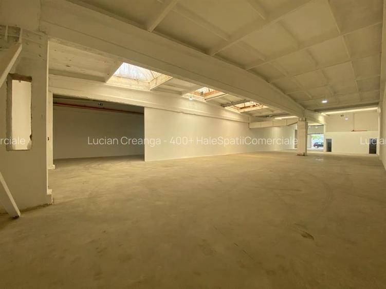 Hale Calea Chisinaului Iasi, aproape de Carrefour de la 65mp la 2000mp - 19