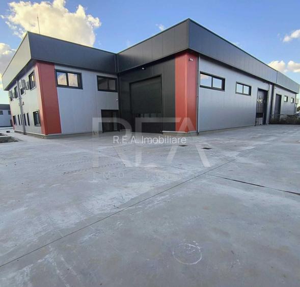 Hale noi de inchiriat Domnesti / Centura  - 2