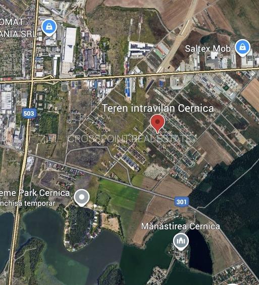 Teren 784mp in Cernica pretabil pt casa - 2