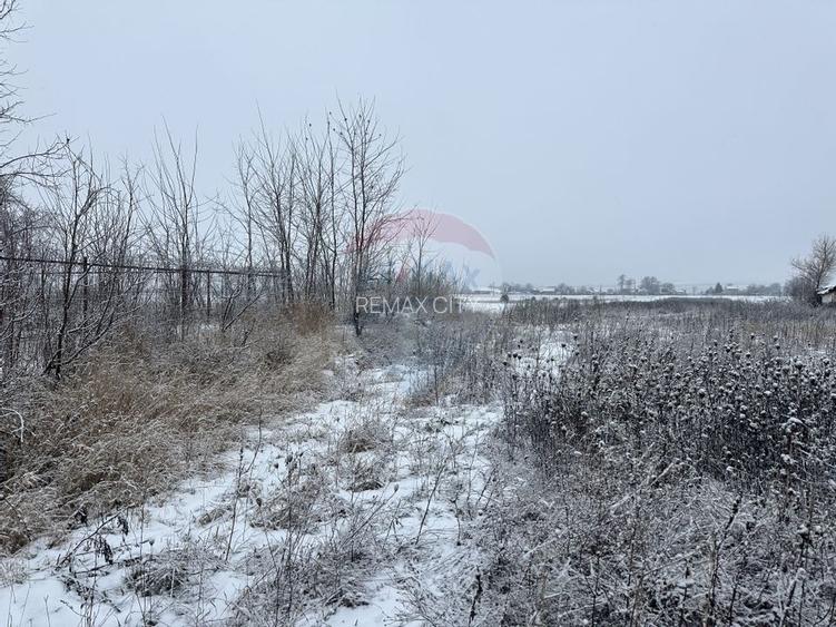 Teren 7,200mp Bodestii de Jos / Strada Bodesti - 3