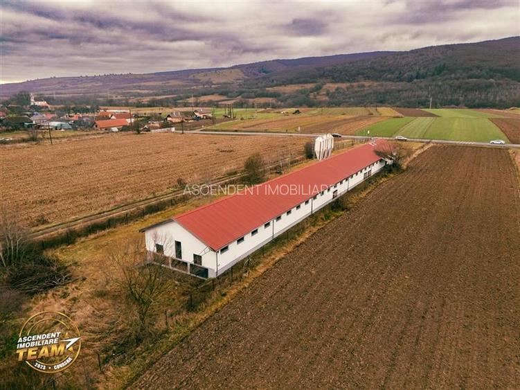 FILM! Ferma de iepuri,Malnas,Covasna: domeniu:industrial/comercial,asset UE - 51