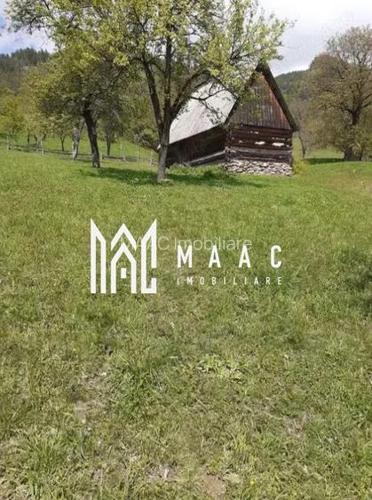 Teren | 2946MP | Priveliște Panoramică | Râu Sadului - 2