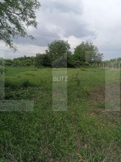 Casă bătrânească de vânzare – Brăești, județul Botoșani - 2