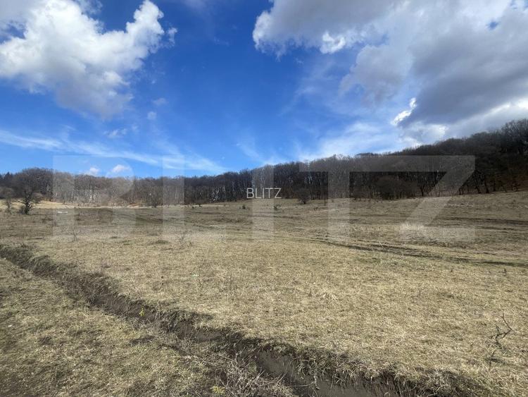 Teren extravilan de vanzare, 2,4 hectare, zona drumul Tarpiului - 3