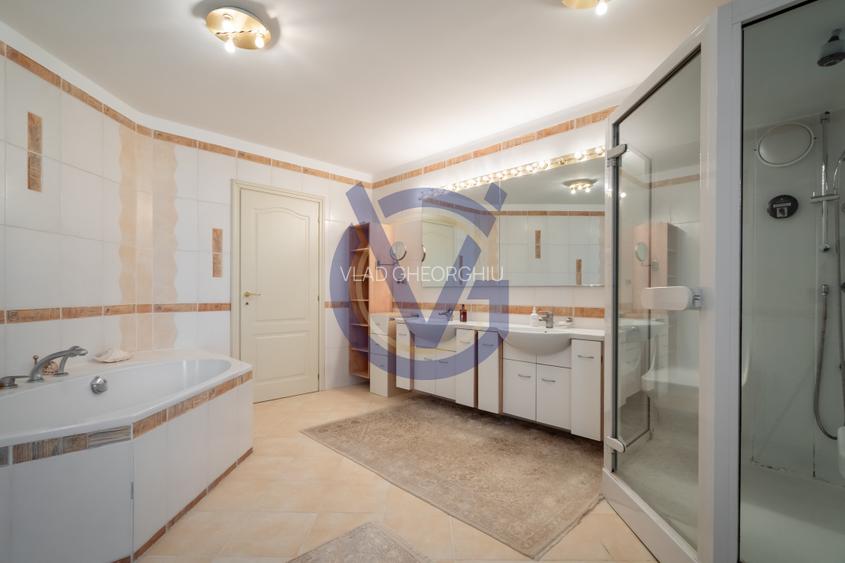 Domeniu 4168 mp. la Lac, cu Parc si Vila Grandioasa, in S1 Bucuresti-COMISION 0% - 47
