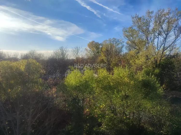 Casa 5 Camere Otopeni |Mansarda | Semicentral | Zona Linistita - 12