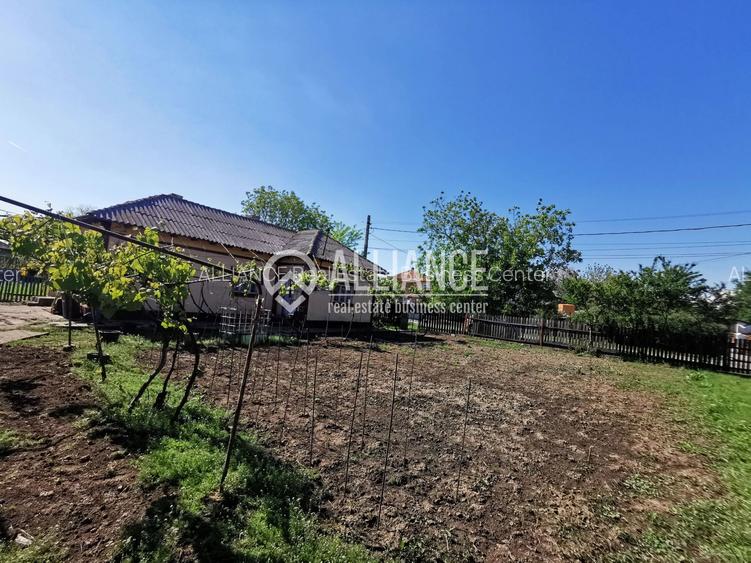 Topraisar casa cu teren 2088 mp - 7