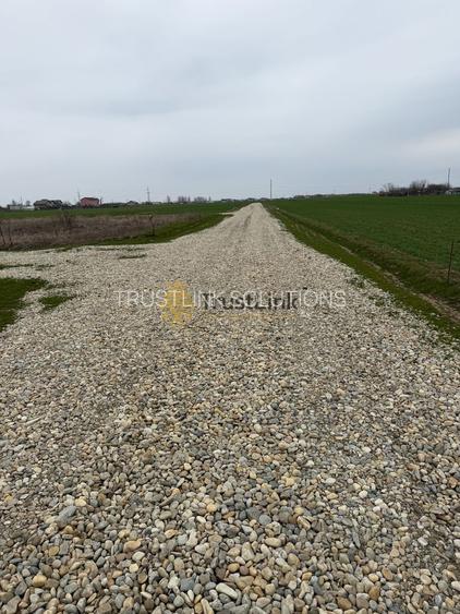 Teren intravilan de vânzare Berceni Vidra | 500–650 mp | curent la lot - 3