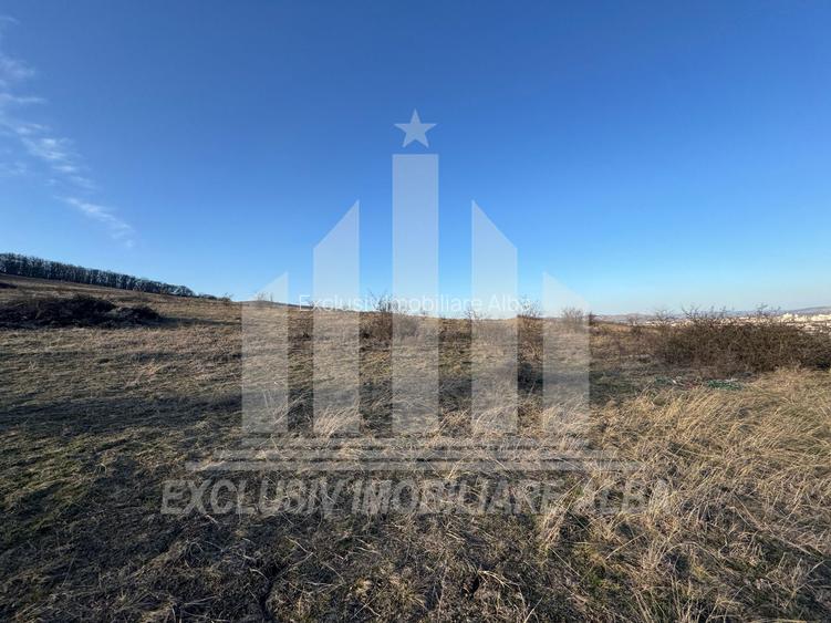 Teren intravilan | De vanzare | 1000 mp | 26 ml deschidere | Paclisa - 2