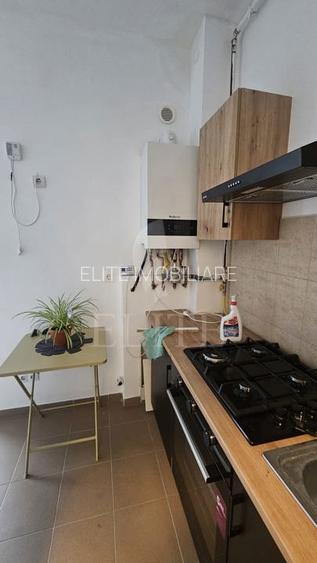 Apartament 2 camere în zona CAMPUL PAINII - 11