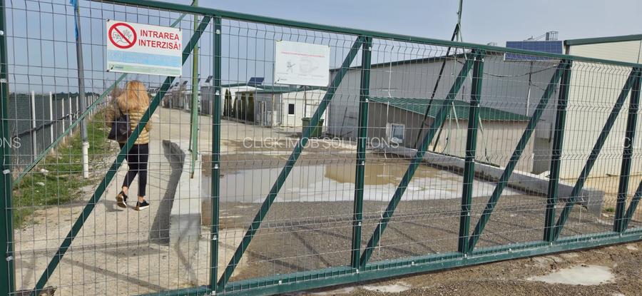 Ferma pasari- curci - 6