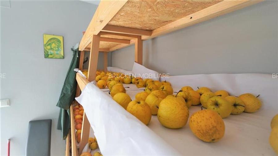 MICRO-FERMA + CASA IN VOIVOZI - BIHOR - 16