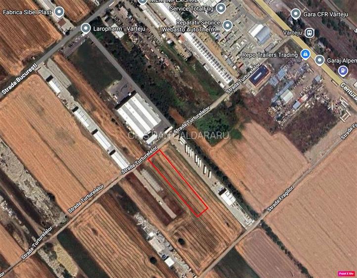 Vanzare teren Magurele - Varteju - Centura, ILFOV - 2