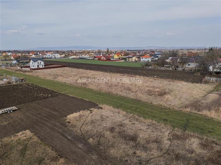 Teren intravilan Stupini,zona de case,utilitati in apropiere, 40 euro mp. - 11