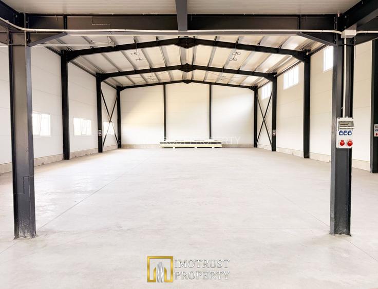 Hala industriala inchirere – Vladimirescu, jud. Arad 500 mp - 3
