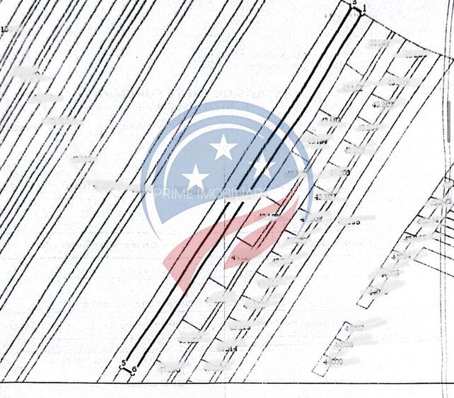 Teren intravilan 5087 mp de vânzare – Pielești - 4