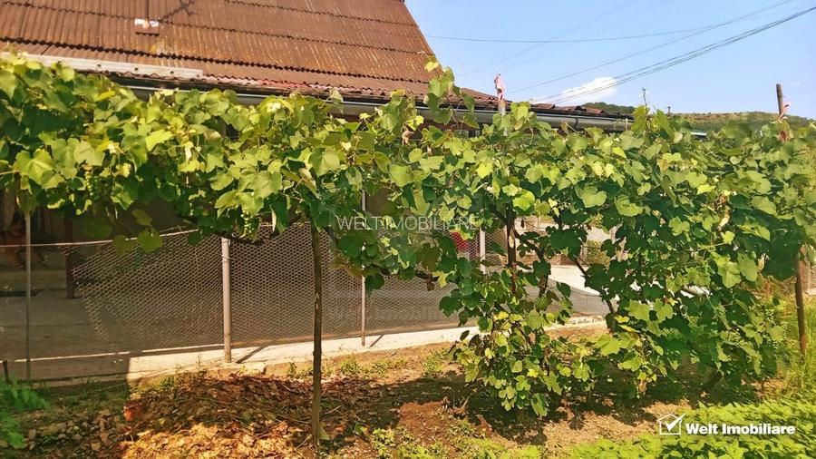 Vanzare casa la 10 km de Dej, Comuna Catcau, teren 1400 mp - 6