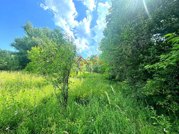 Teren 2037 mp, 17 ml deschidere, 28 euro/m2, vedere panoramica - 5