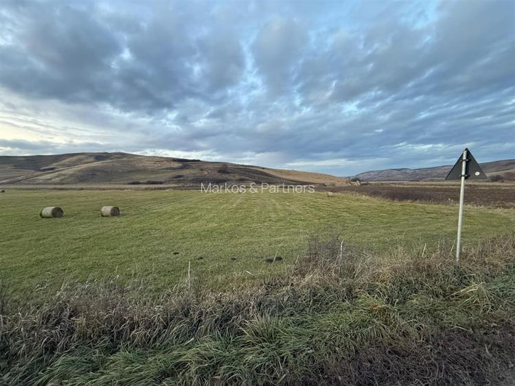 Teren Extravilan I 6000 Mp I Acces la drum | Cojocna - 3