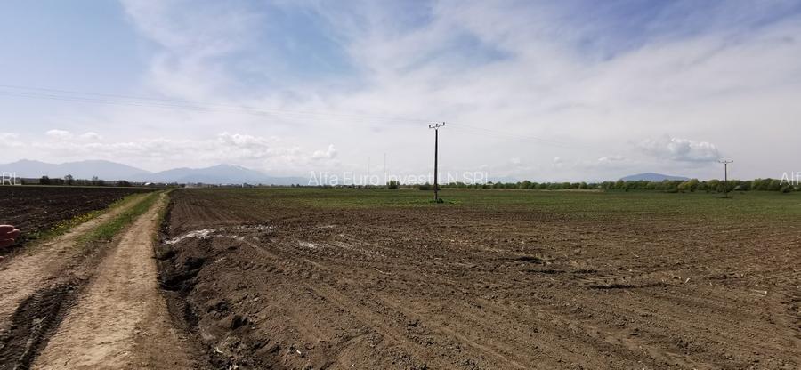 TEREN AGRICOL DE VANZARE - BOD - BRASOV 4,5 HA - 7
