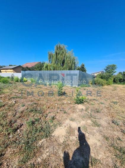 Teren Intravilan 6017 mp pentru Constructii Case Individuale, Duplexuri, Blocuri - 5