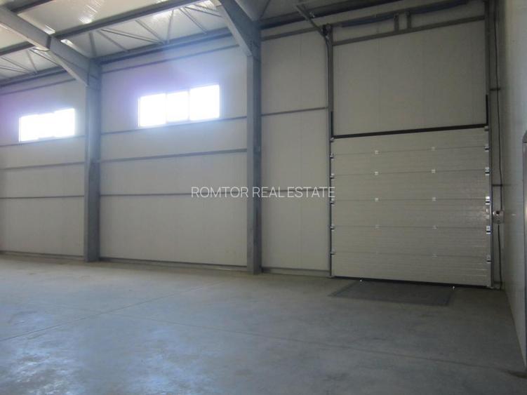 ZONA EST - Theodor Pallady - DRUMUL INTRE TARLALE - A2 - 3