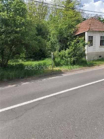 Teren de peste 5.000mp, front la DJ, Valcele, Brasov -- Covasna - 11