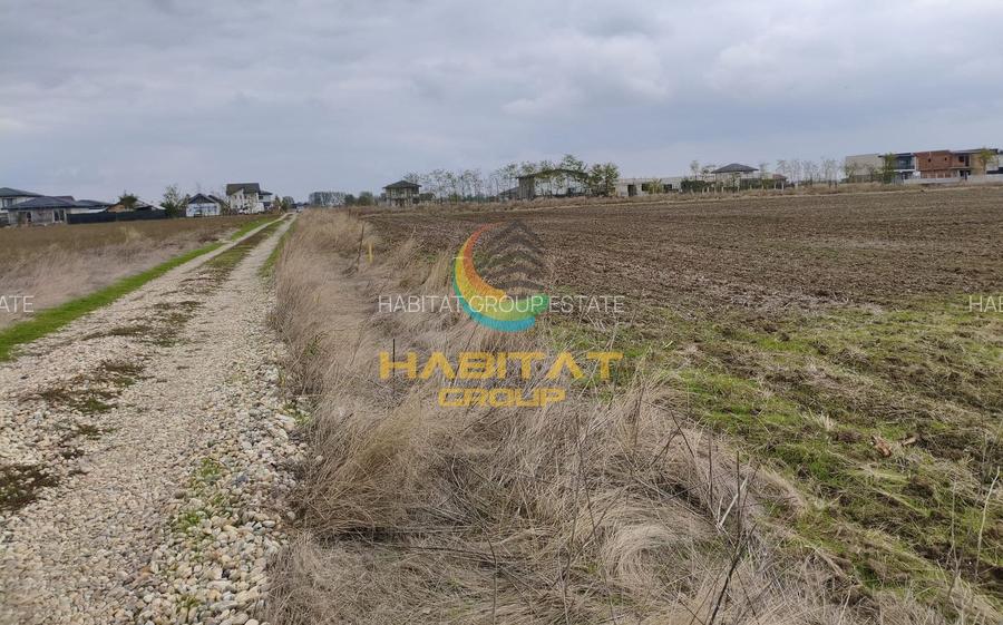 Teren 420 mp | Utilitati la lot | Rate la dezvoltator | Vidra - 3