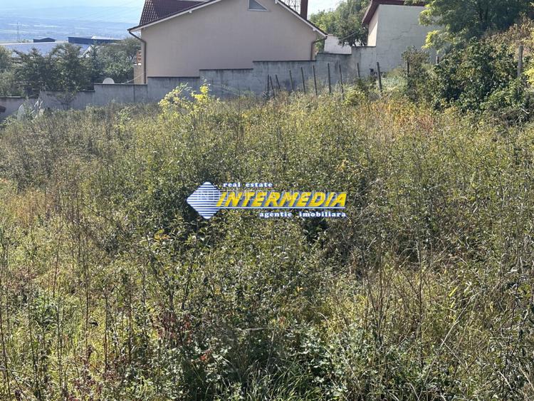 Teren intravilan I de vanzare I in Cetate I zona superba I 500 mp I - 2