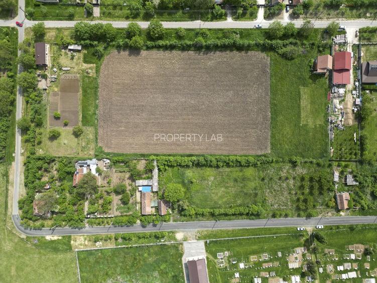 Teren Intravilan de 3,090 mp în Cuvin - 15