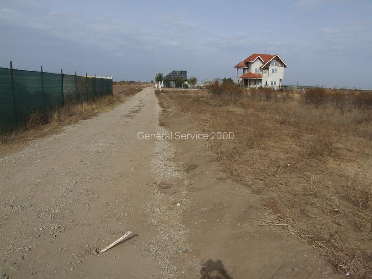 Domnesti-Afinului, teren  4394 mp - 10