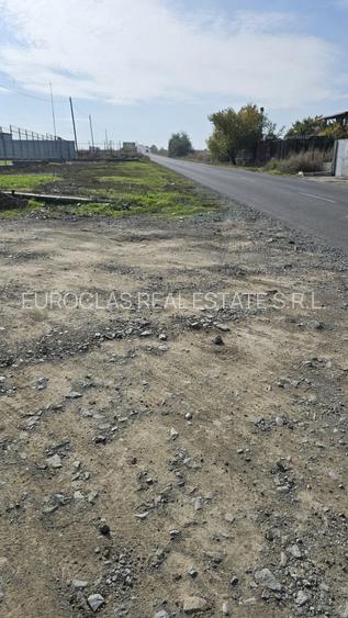 Teren intravilan industrial de vânzare – Ovidiu - 50 euro/mp (Cod E12) - 5