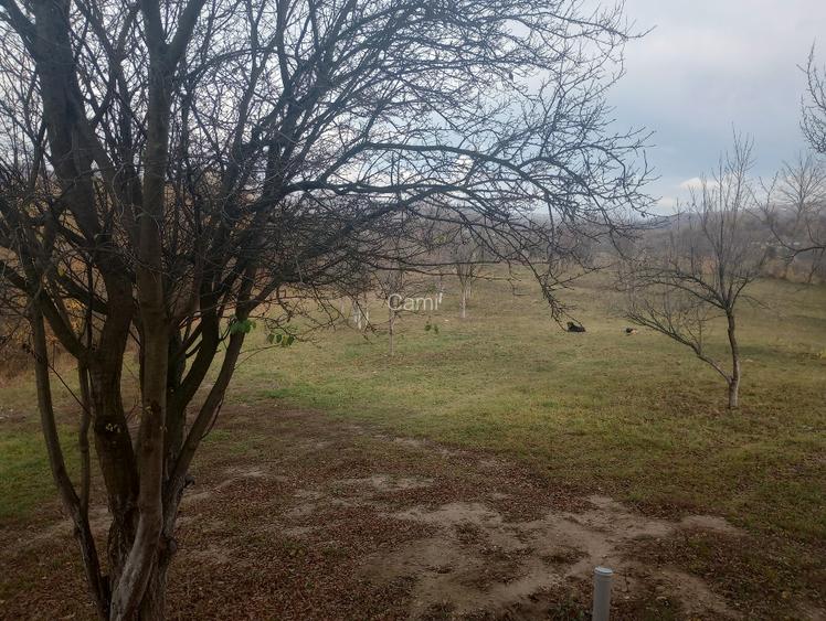 Vând teren intravilan 4062 mp - 6