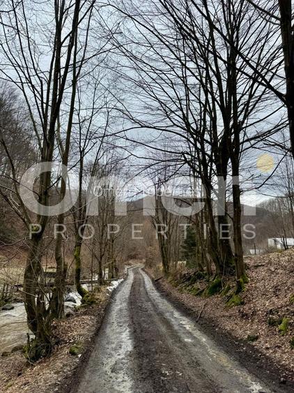 Teren extravilan de vânzare | 1402 mp | Blidari | zonă superbă - 3