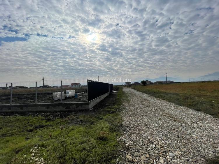 Teren de vanzare Harman - 5