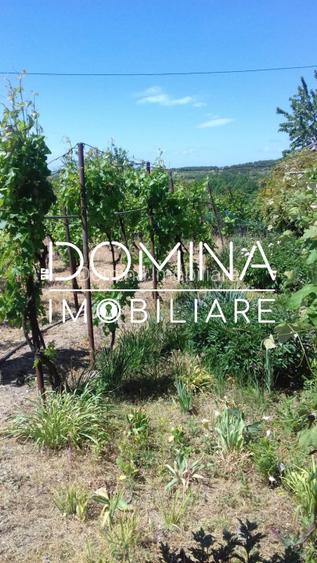 Vanzare casa cu teren generos, locatie deosebita,  în Musetesti, Gorj - 9