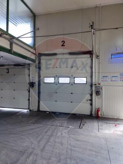 Depozit frigorific  hala ideal legume, fructe, flori - 13