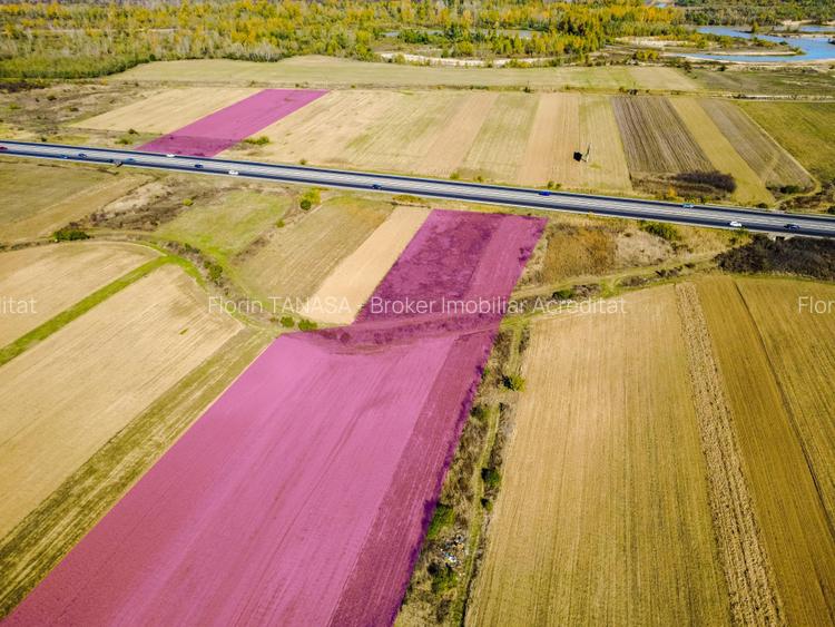 Terenuri industriale cu deschidere la A1, km 64 – Jugureni, Dambovita - 4