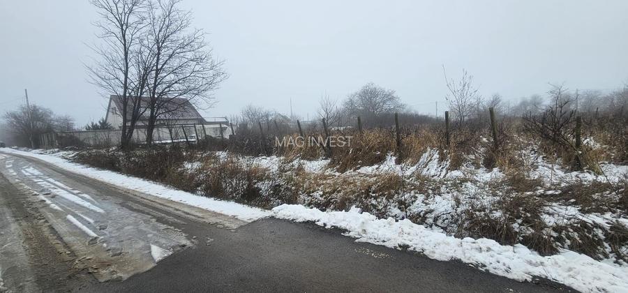 Exclusivitate MAG Invest – Teren 2300 mp Vanatori, ideal investitie - 5