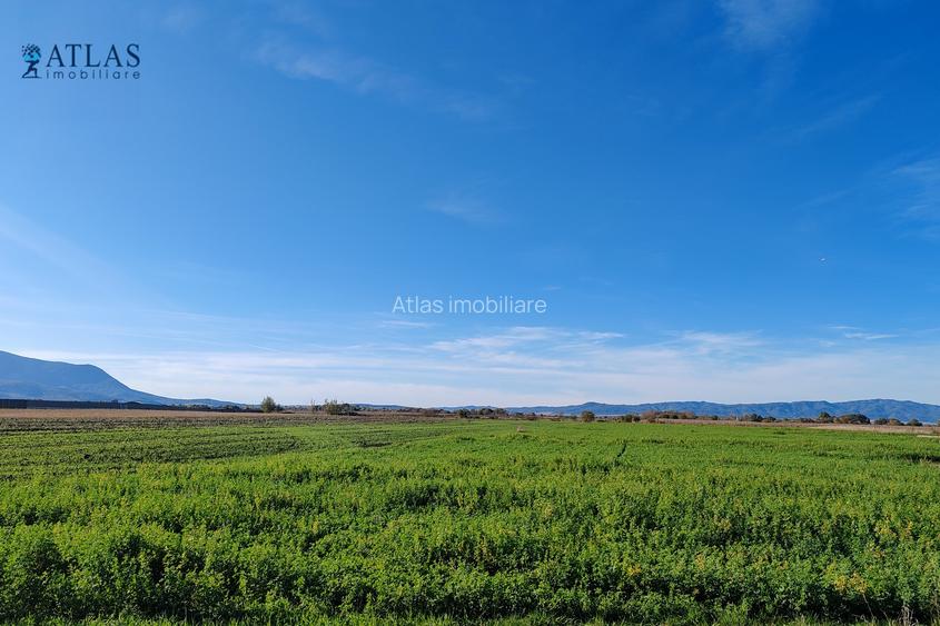 Teren ideal dezvoltare rezidențială, 8.121 mp, PUZ aprobat, utilități, Stupini - 4