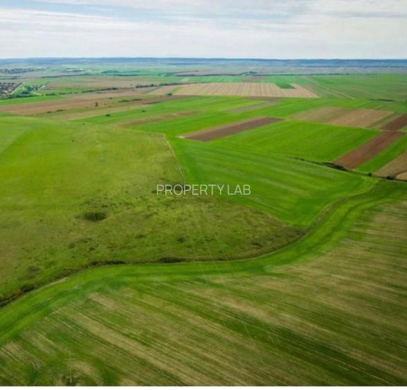 Teren agricol 5ha Giarmata langa Antena Radar - 3