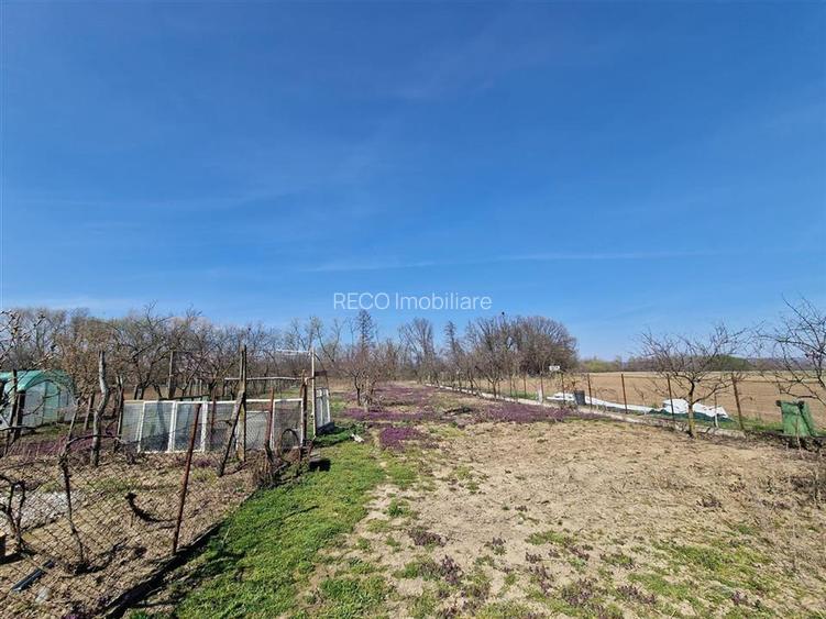 Teren mare cu 2 case in Sabolciu, com. Sacadat - 23