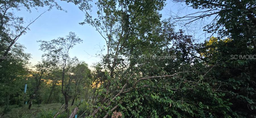 Moreni , Dambovita , vanzare proprietate -casa si teren - 2