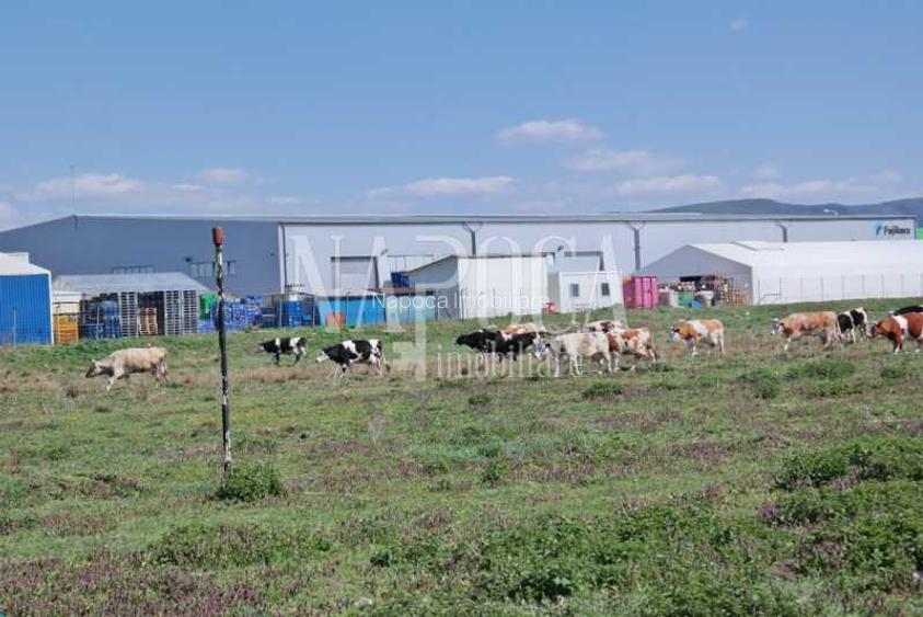 Teren intravilan pentru constructii de vanzare in Dej... - Comision 0% - 9