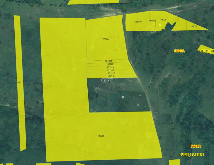 Teren agricol extravilan de vânzare – 67.500 mp – Dealul Daii, Sibiu - 4